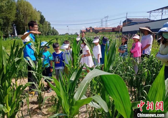 七贏娛樂：（乡村行·看振兴）农文旅三链共振 山西大同激活乡村振兴新动能