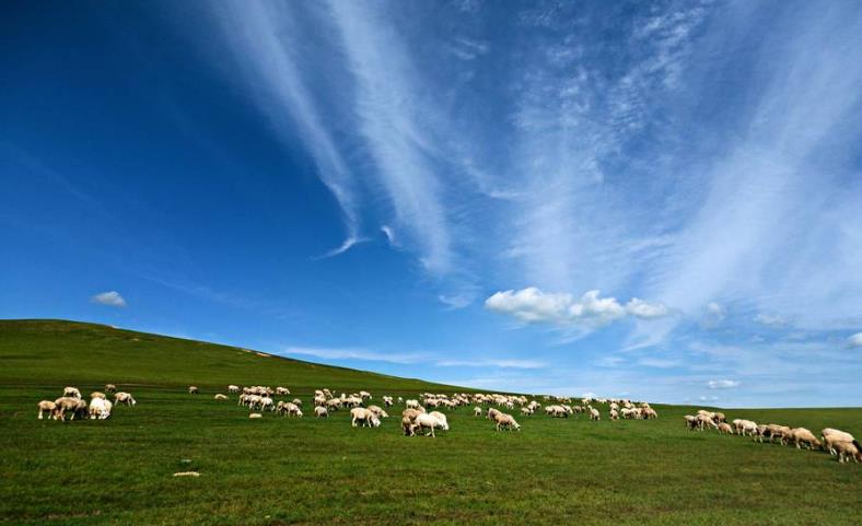 {足球投注}(天堂草原网在线观看视频)