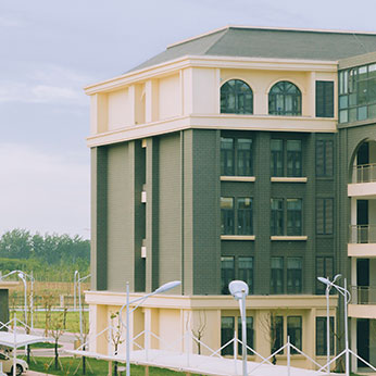 {足球投注}(传智专修学院本科国家认可吗)